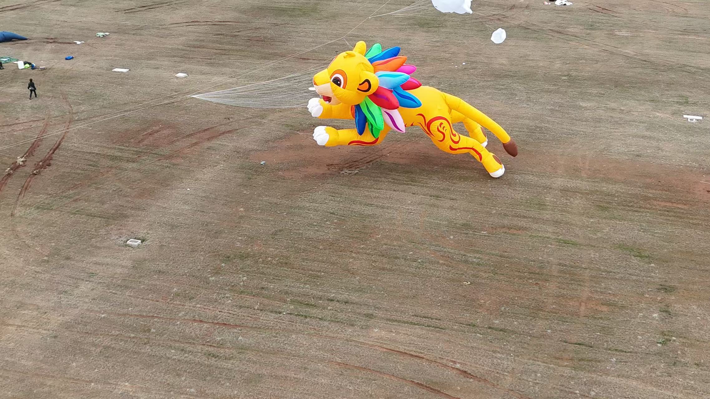 广安市品牌风筝定制风筝加工 - 一站式服务